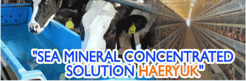 Sea Mineral Concentrated Solution Haeryuk