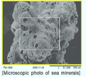 Key compositions and the roles of sea minerals