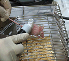 Effectiveness verification study of special minerals on Atopic dermatitis