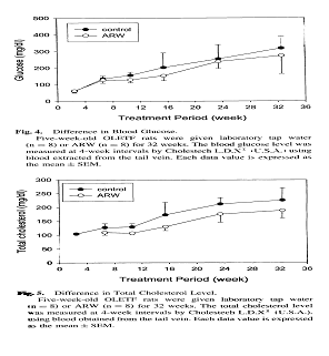 OLETF model, similar to adult diabetes, was used for diabetes experiments 